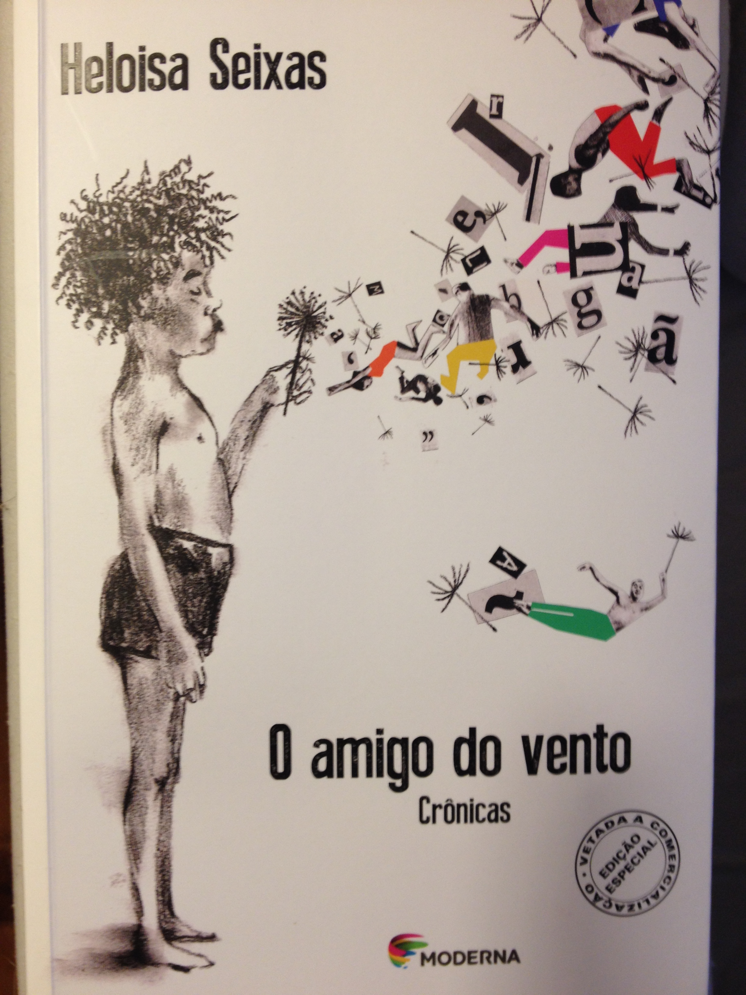 Capa do livro O amigo do vento